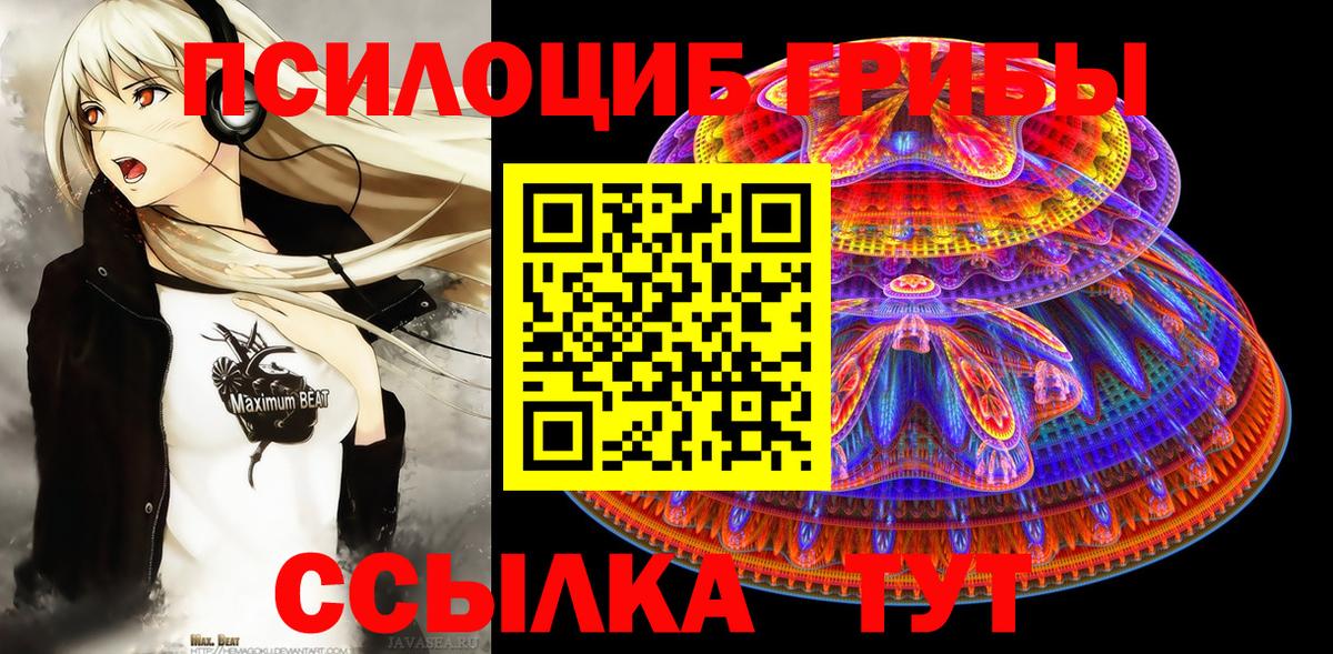 Саяногорск  Галлюциногенные грибы Magic Shrooms  Вход с VPN 