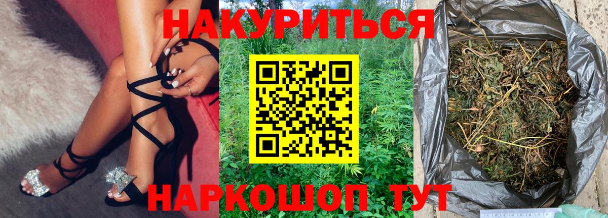 Бошки Шишки семена Саяногорск